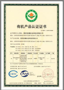 bu集團創始股東石為 致力現代農業,構建工廠化生產,顛覆牛肝菌市場格局